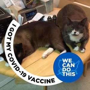 Meet your Posher, Sherie